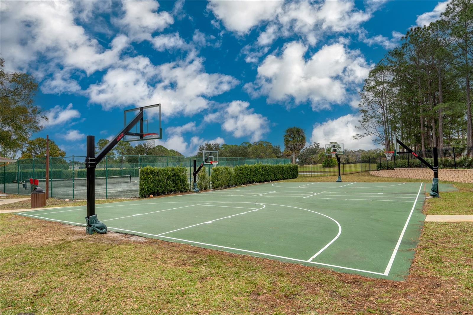 NINE EAGLES UNIT ONE SEC I - Residential