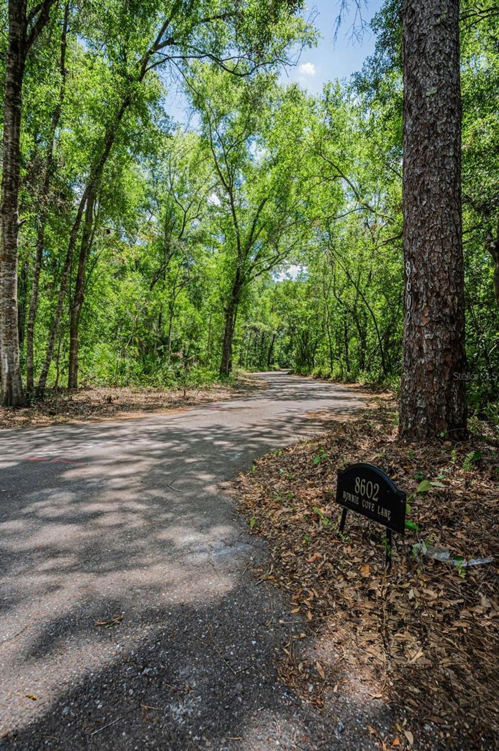 Photo of 8602 Bonnie Cove Lane, Odessa, FL 33556 (MLS # TB8503349)