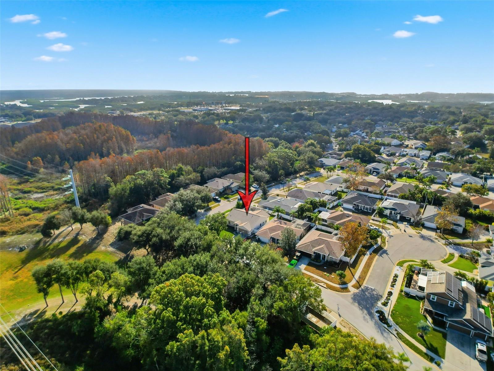 CYPRESS PARK OF TARPON SPGS - Residential