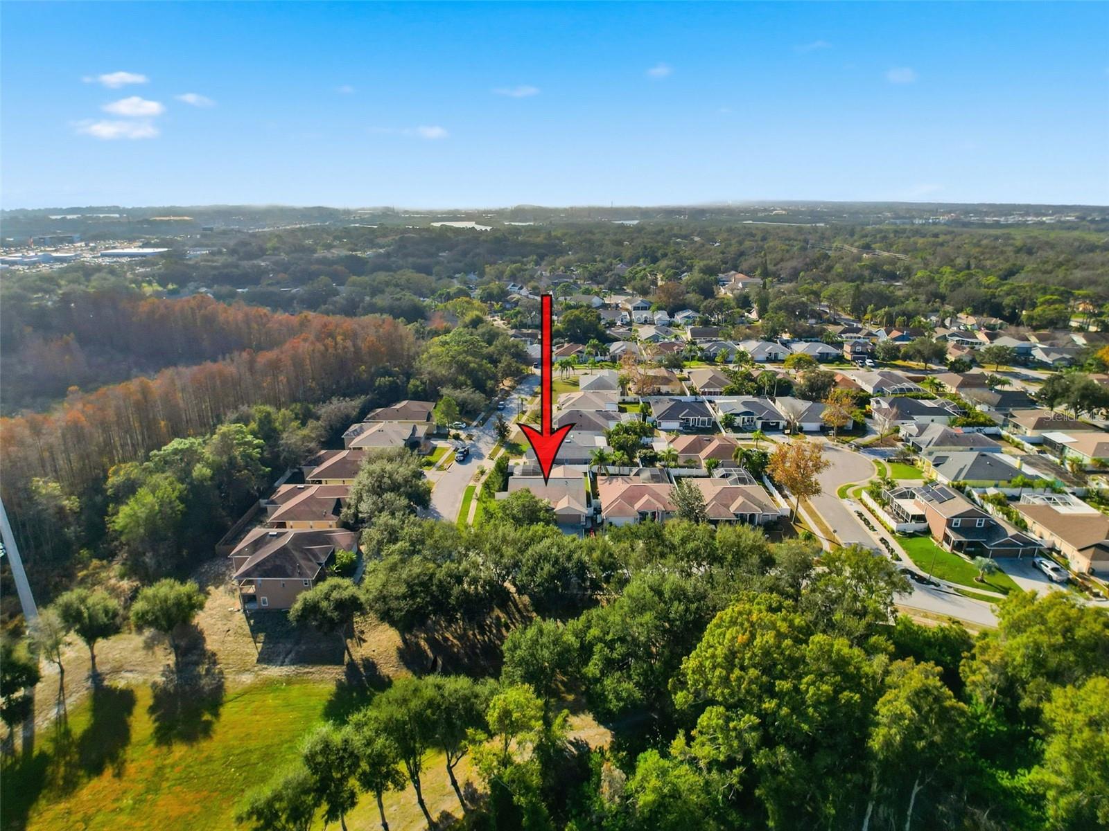 CYPRESS PARK OF TARPON SPGS - Residential