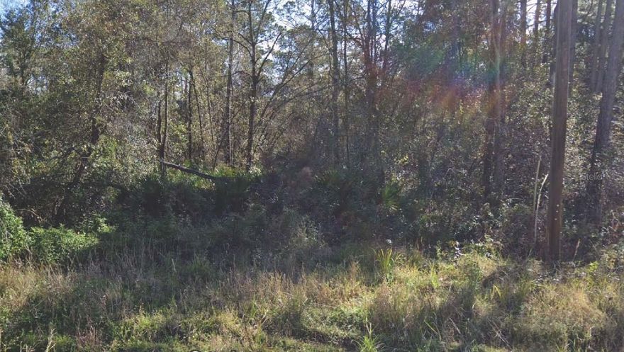 Looking to invest in Land or Build a Home? Come take a look at this .26 acre lot. Located near main roads and highways.