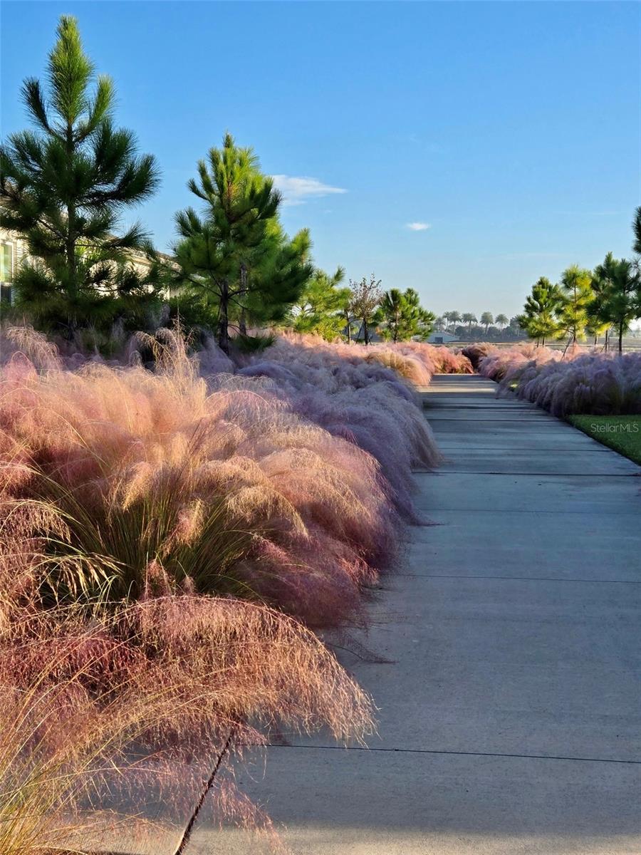 LAKEHOUSE COVE/WATERSIDE PH 5& - Residential