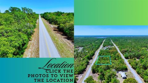 Tiny photo for Tbd SW Rainbow Lakes Road, Dunnellon, FL 34431 (MLS # A4692849)