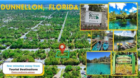 Tiny photo for Tbd SW Rainbow Lakes Road, Dunnellon, FL 34431 (MLS # A4692849)