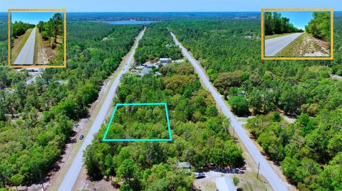Tiny photo for Tbd SW Rainbow Lakes Road, Dunnellon, FL 34431 (MLS # A4692849)