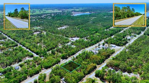 Tiny photo for Tbd SW Rainbow Lakes Road, Dunnellon, FL 34431 (MLS # A4692849)