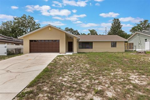 622 N GOODRICH DRIVE DELTONA FL 32725