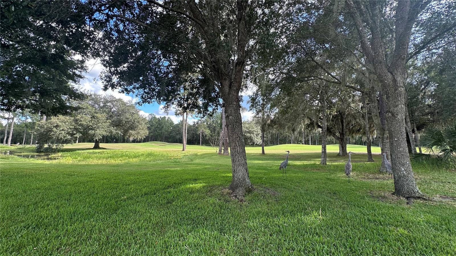 HERNANDO OAKS PH 2 - Residential