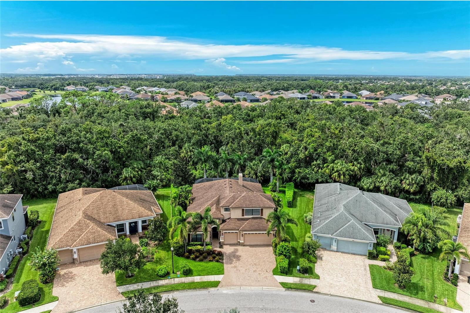 535 HONEYFLOWER LOOP