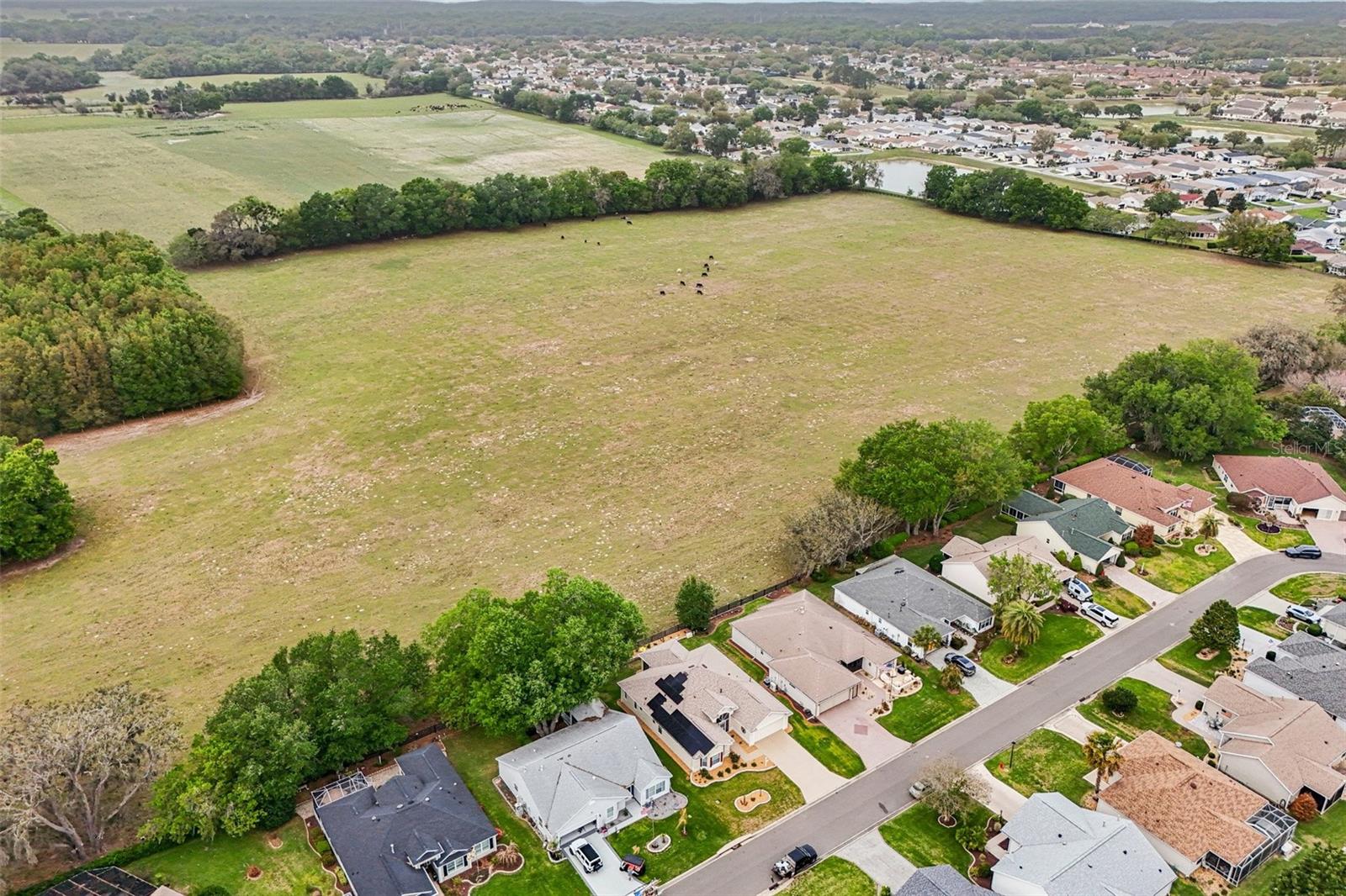 THE VILLAGES - Residential