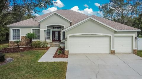 A home in VALRICO