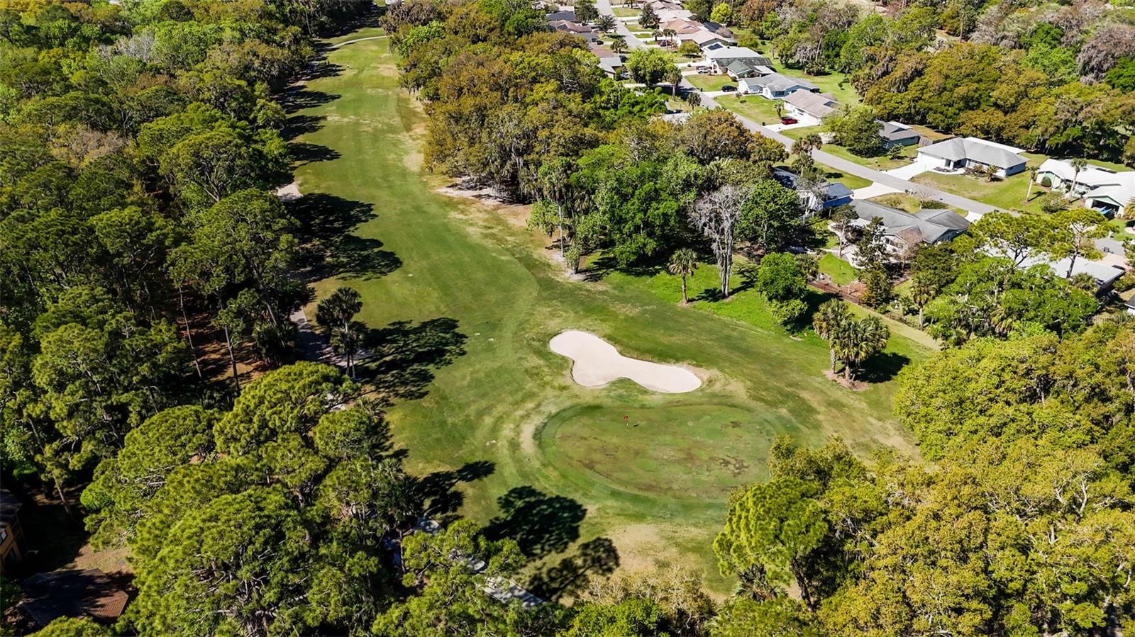 PALM COAST FAIRWAYS CONDO - Residential