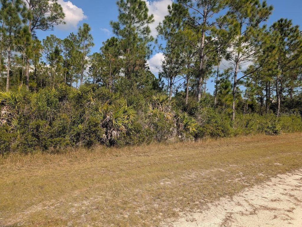 Photo of Oleander Drive, Indian Lake Estates, FL 33855 (MLS # TB8446822)