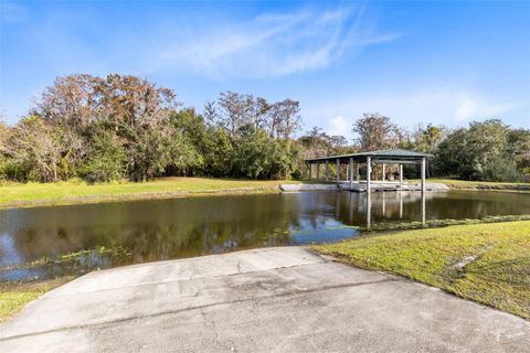 A home in KISSIMMEE