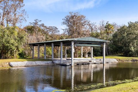 A home in KISSIMMEE