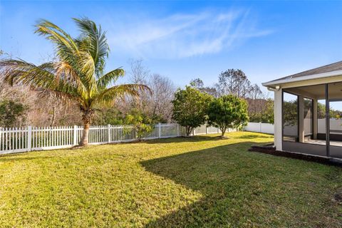 A home in KISSIMMEE