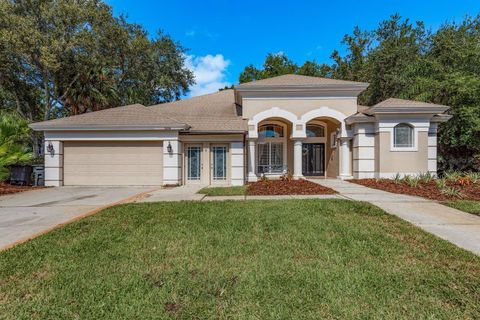 Photo of 5264 Karlsburg Place, Palm Harbor, FL 34685 (MLS # TB8443040)