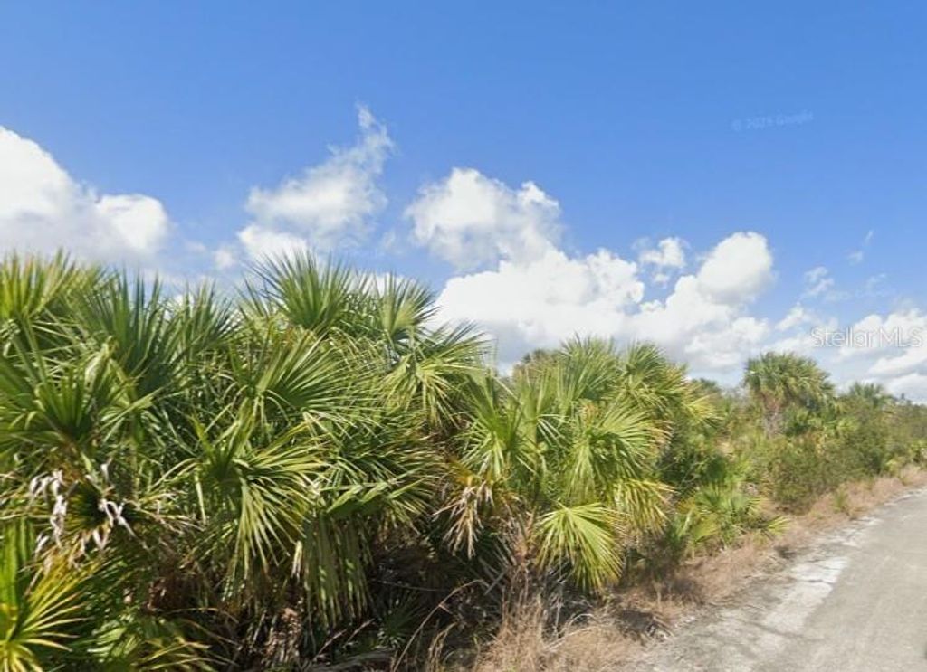 Photo of 3080 Pavons Avenue SW, Palm Bay, FL 32908 (MLS # A4684236)