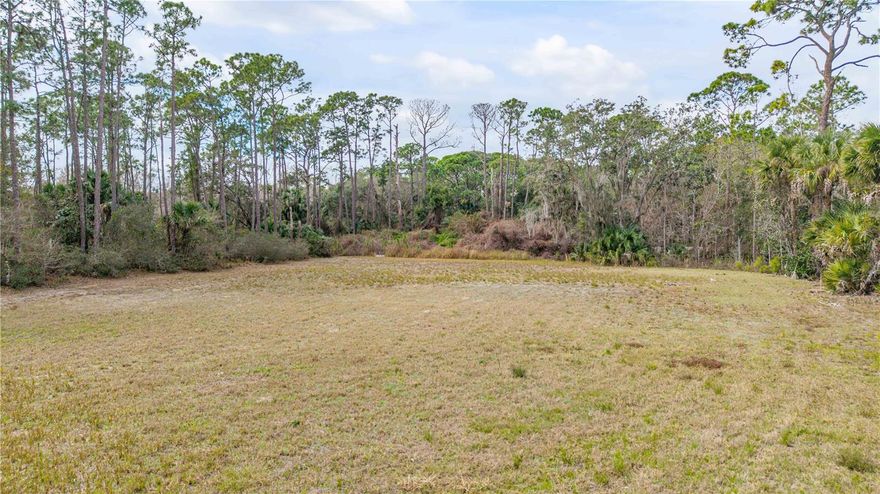 Imagine the possibilities on this expansive, partially cleared but still private lot! Presented is a just under 4 acre Oak Hill parcel with direct access from US-1. With an existing driveway already in place, this currently Residential /Agriculture-zoned property offers both convenience and opportunity. Just south of the "Blinking Light" Halifax and US1 intersection. 5 Minutes south of Edgewater and less time to Boat Ramps! 40 Minutes to Kennedy Space Center, and just 15 mins to commute on I95.

The property is located in an X flood zone, making it especially attractive for those dreaming of building a custom home or private getaway. Wide open space, excellent visibility, and a location along a major corridor create a unique combination rarely available in today’s market. 

Whether you’re planning your dream build or securing land for the future, this property offers the freedom that only acreage can provide.