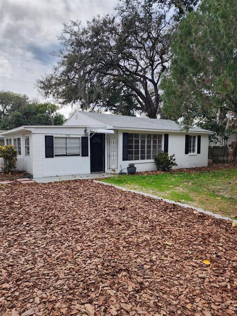 A home in MOUNT DORA