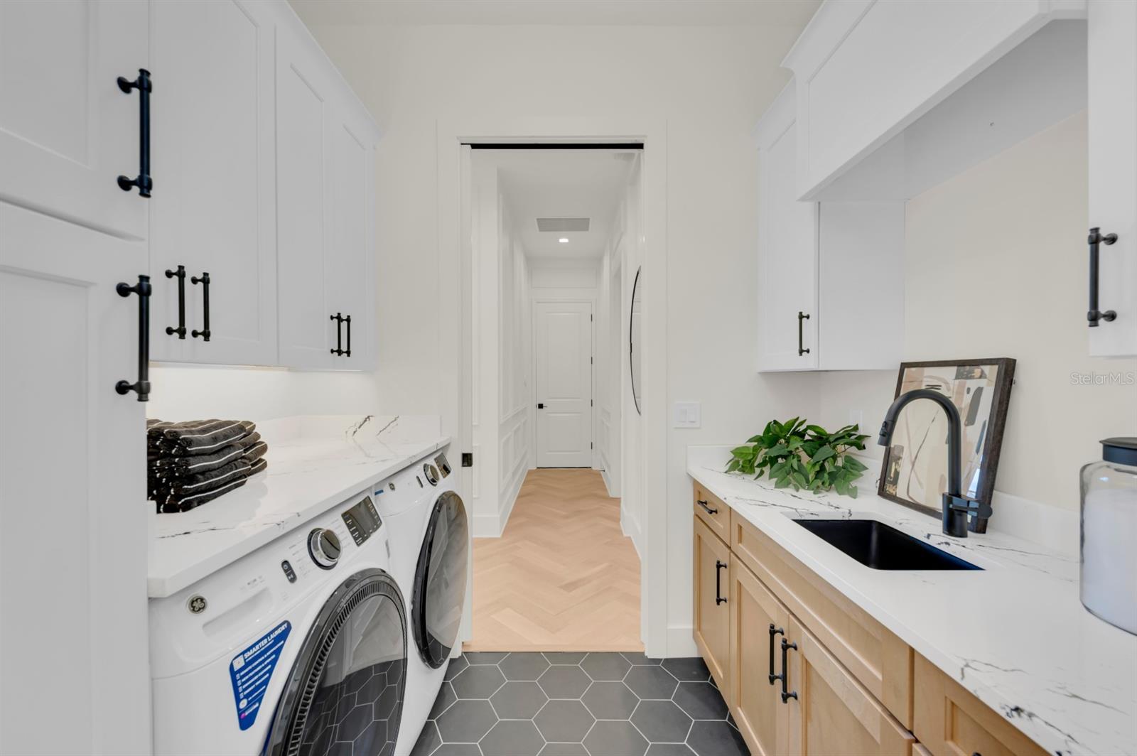 WILD BLUE AT WATERSIDE PHASE 1 - Residential