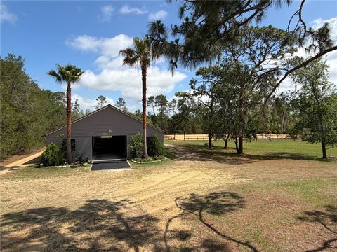 Tiny photo for 4251 NE 136th Avenue, Williston, FL 32696 (MLS # OM725040)