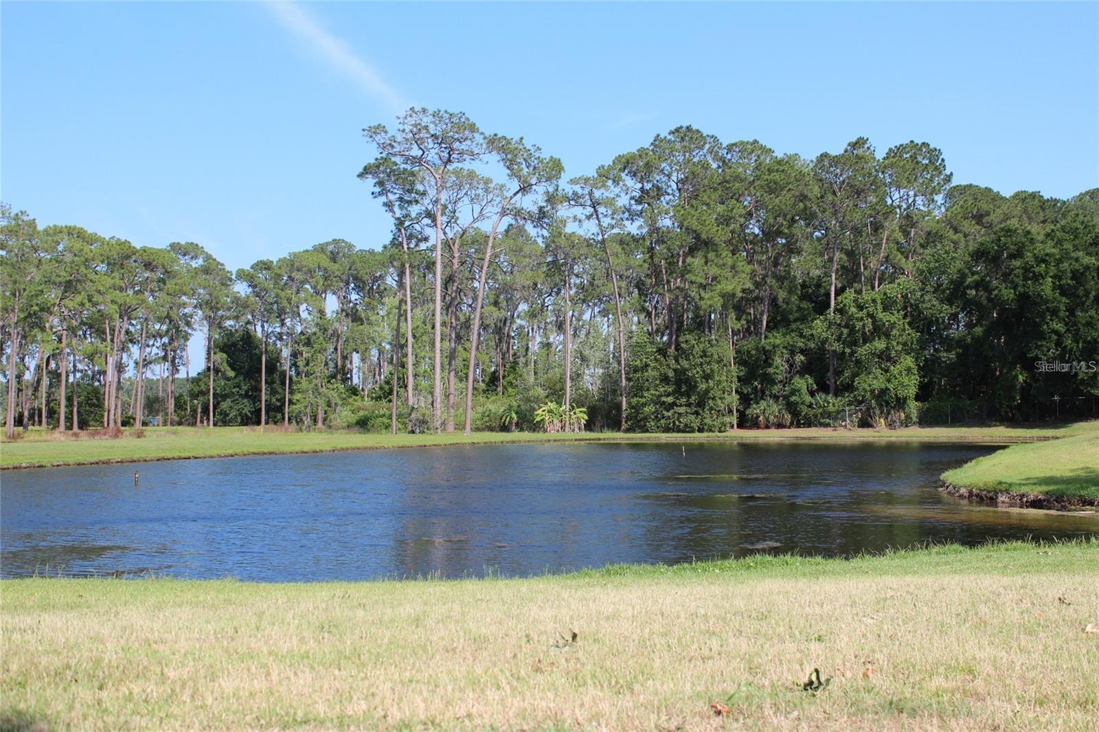 LAKESIDE AT BASS LAKE - Residential Lease