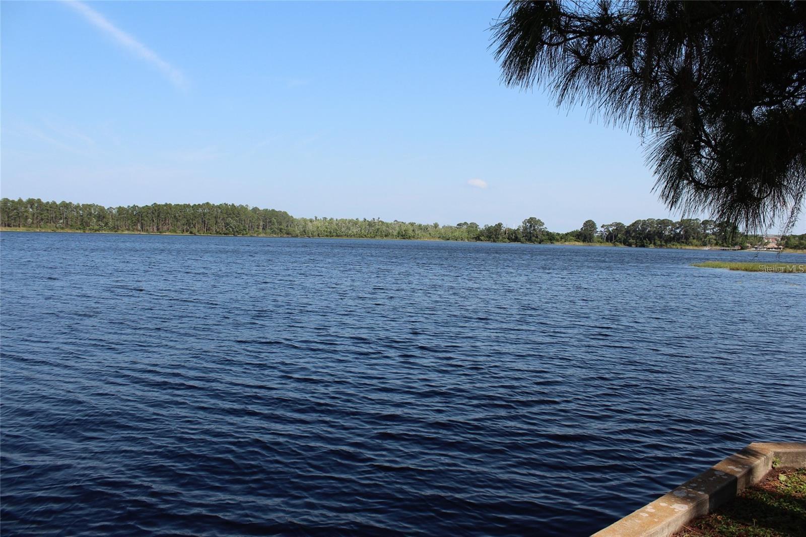 LAKESIDE AT BASS LAKE - Residential Lease