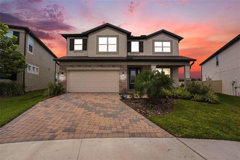 Photo of 7815 Bronze Oak Drive, Wesley Chapel, FL 33545 (MLS # TB8429222)