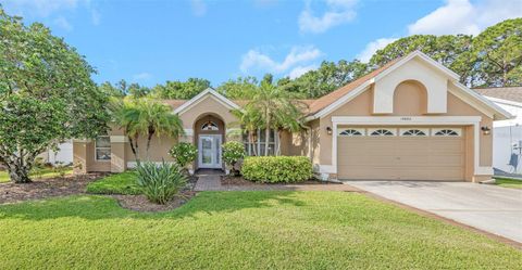 Photo of 15002 Rocky Ledge Drive, Tampa, FL 33625 (MLS # TB8506838)