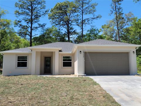 Photo of 8736 N Vince Drive, Dunnellon, FL 34434 (MLS # OM721298)