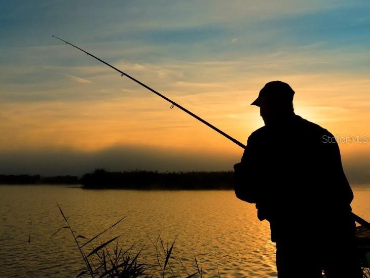 HAMMOCK RESERVE - Residential