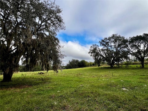Tiny photo for Micro Racetrack Road, Fruitland Park, FL 34731 (MLS # S5152749)