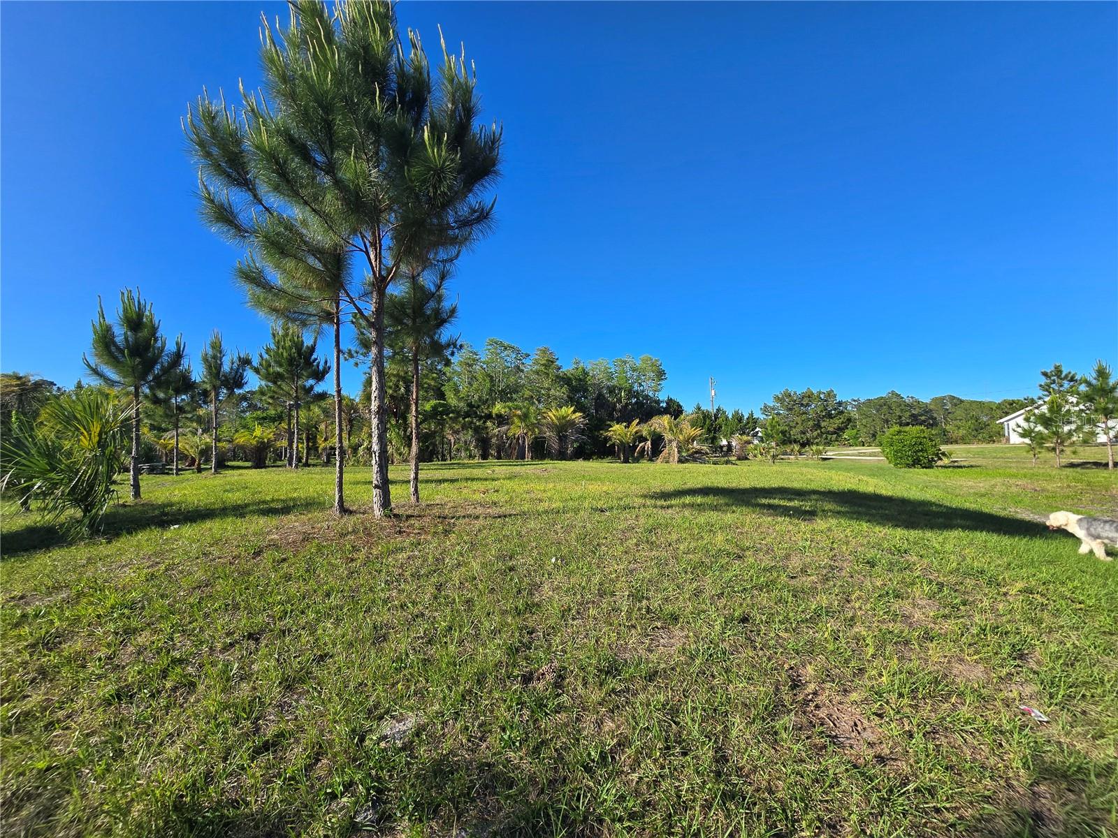 2625 GLENCOE FARMS ROAD