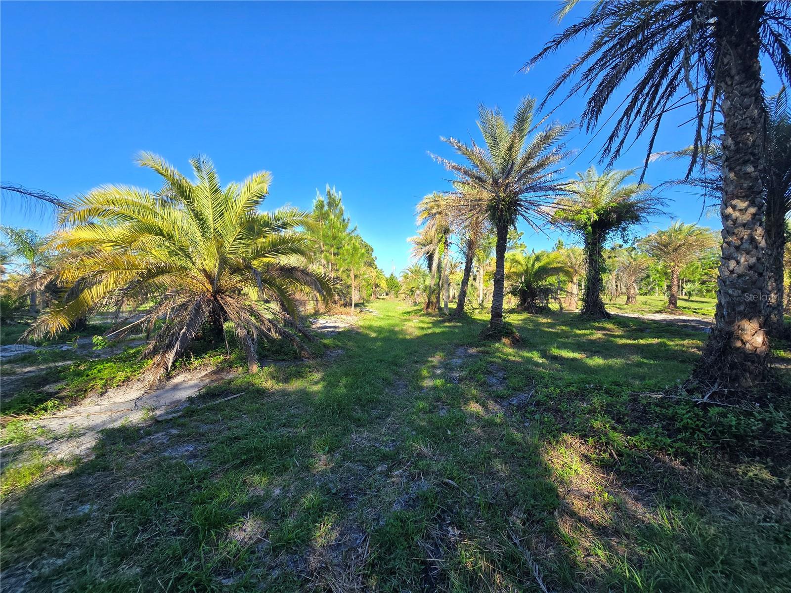 GLENCOE FARMS - Land