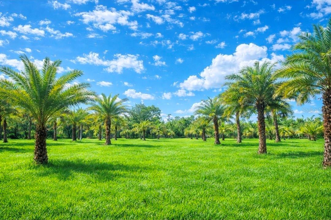 GLENCOE FARMS - Land