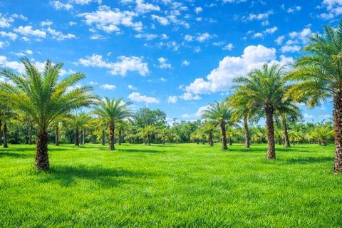 2625 GLENCOE FARMS ROAD NEW SMYRNA BEACH FL 32168