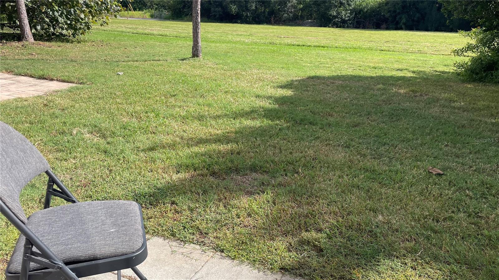 SEMINOLE PALMS AT LARGO - Residential