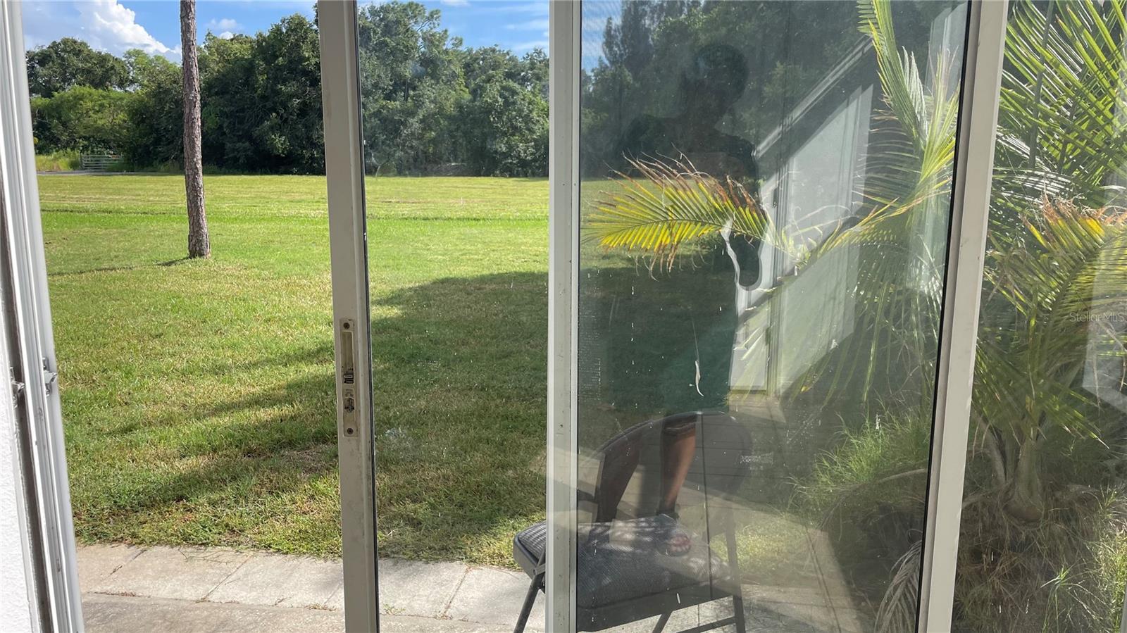 SEMINOLE PALMS AT LARGO - Residential