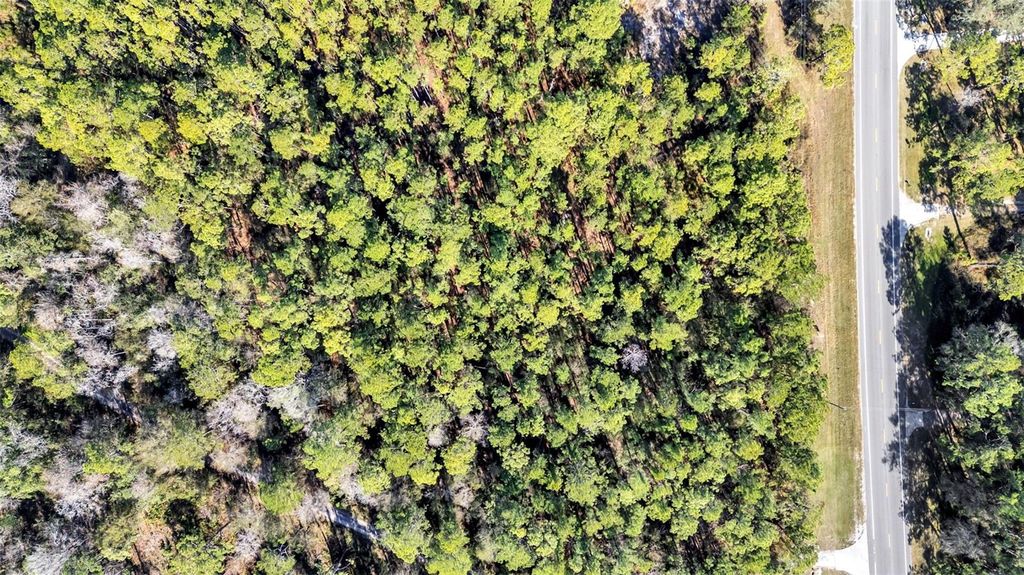 Photo of Commonwealth Avenue N, Polk City, FL 33868 (MLS # L4958189)