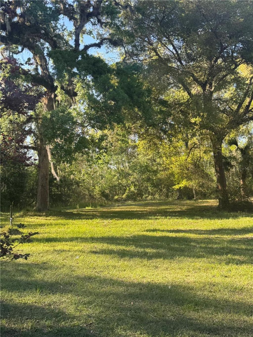 listing image 30