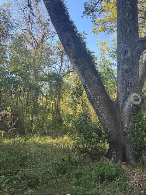 listing image 78
