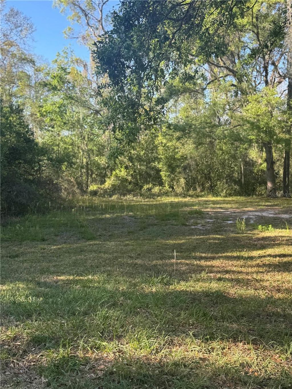 listing image 36