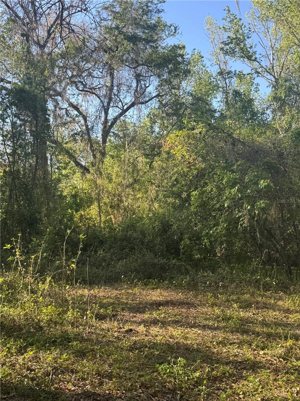 listing image 81
