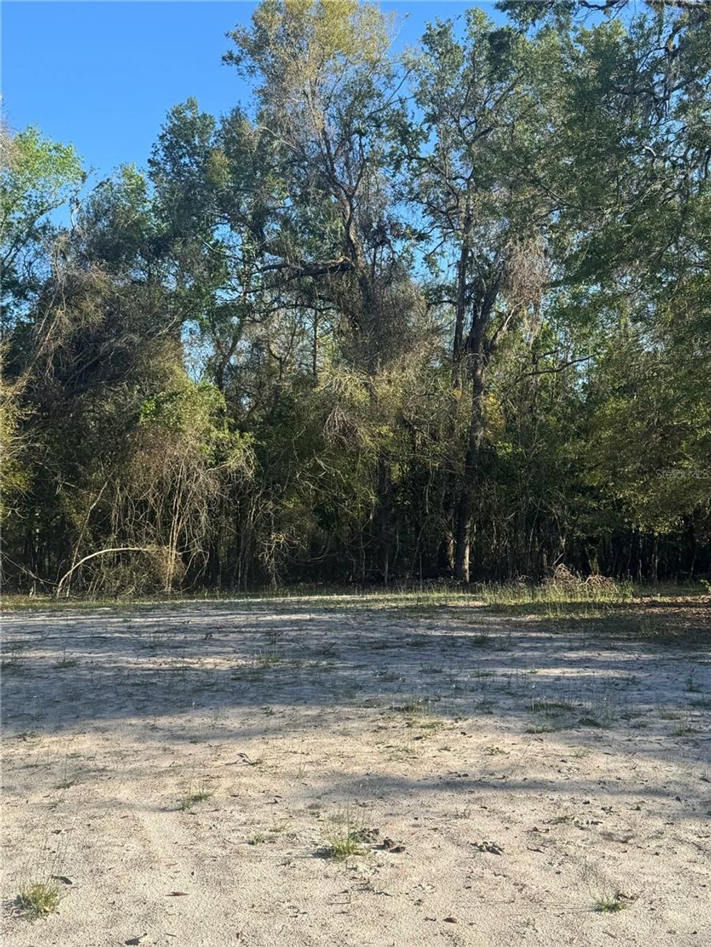 listing image 76