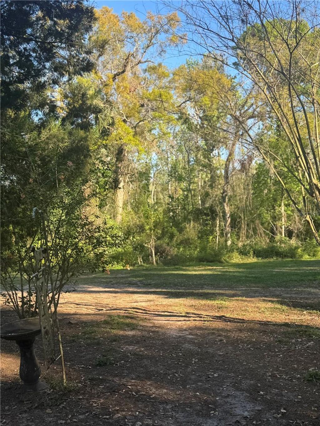listing image 45