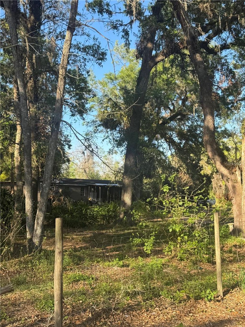 listing image 77