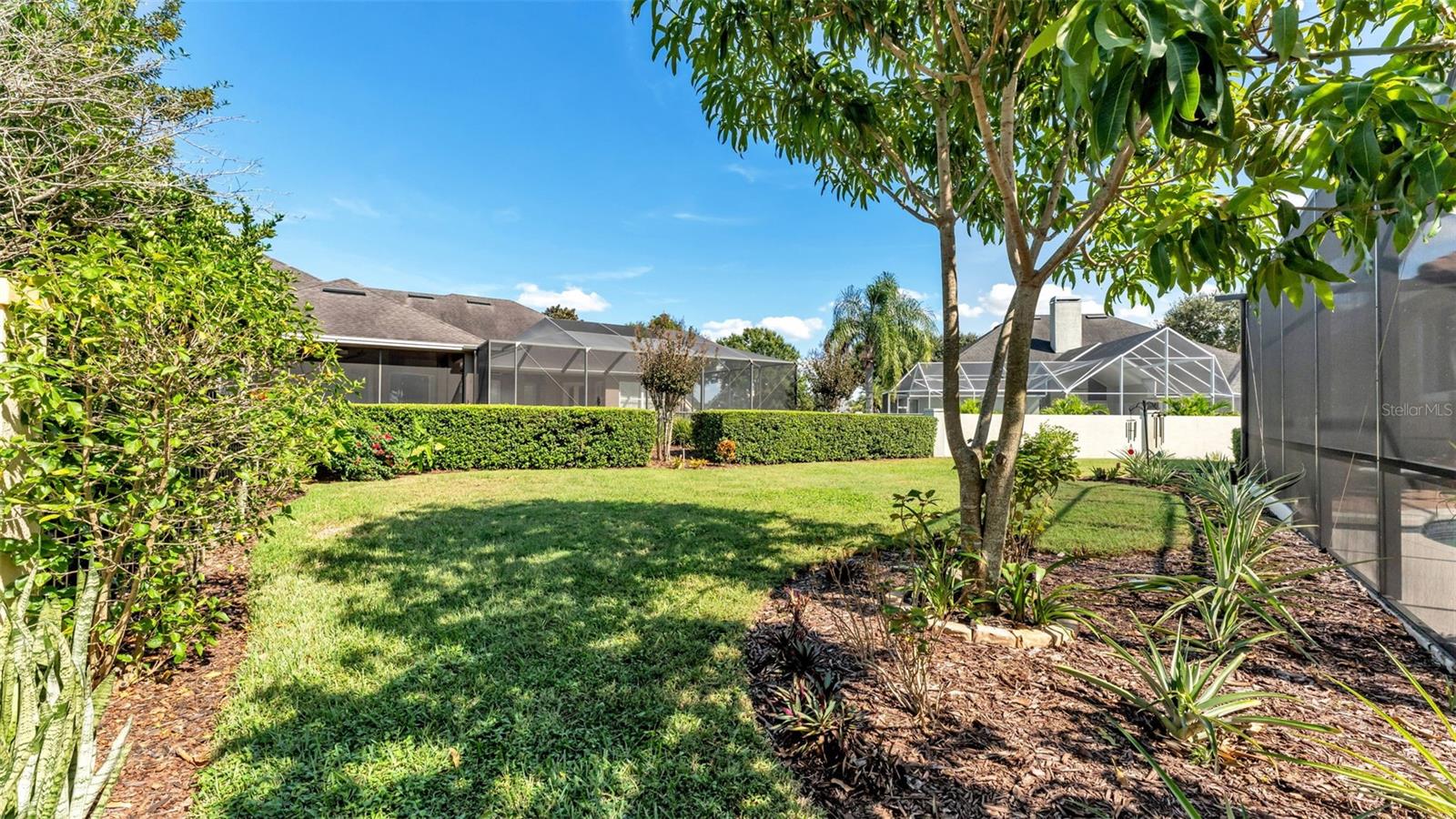 RENAISSANCE - Residential