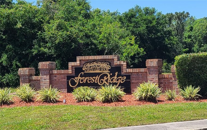 Vacant County Residential Land. Your choice:
1. 1 lot with a potential 10,000 sf home OR 
2. 2 lots with 2 5,000 sf homes OR 
3. 3 lots with 3,300 sf homes OR 
4. 4 single family building lots each approximately .4 Acres allowing up to a 2,500s/f home on each parcel. 
Located close to the Sponge Docks many terrific restaurants, site seeing, parks, shopping and everything that Tarpon Springs has to offer. EZ Hwy access to Tampa, TIA, St. Petersburg, PIE, Clearwater, the world's best beaches, the Buc's, the Ray's, Lightning, Spring training camps and so much more.