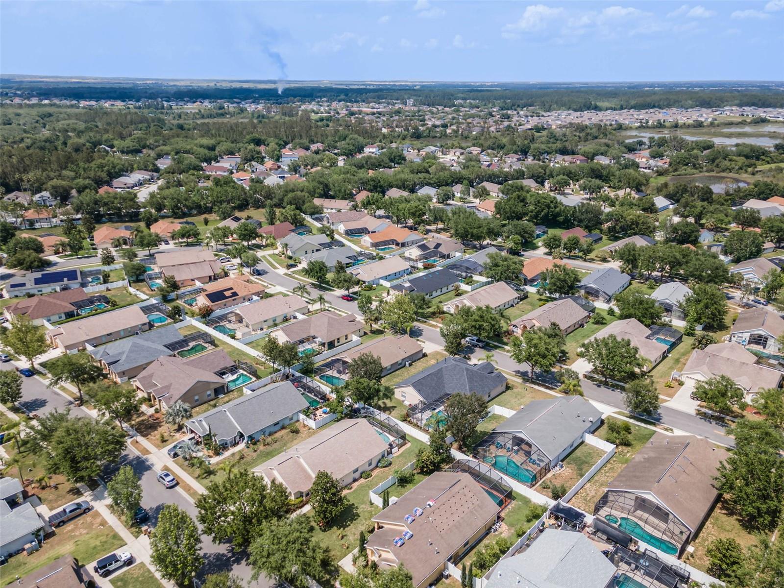 ORANGE TREE - Residential